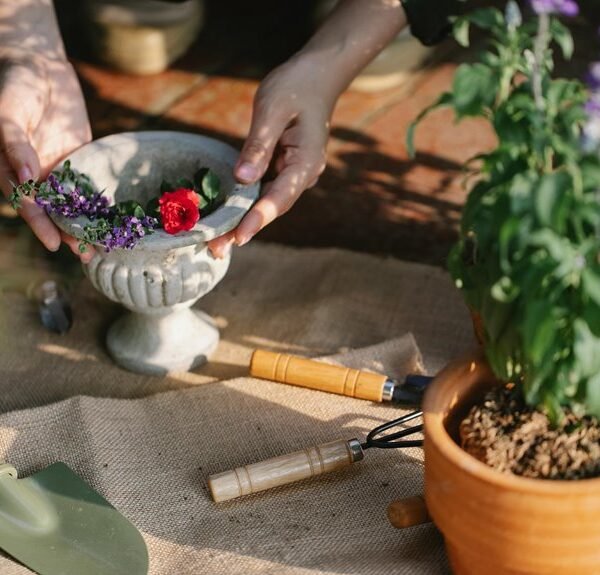 Optimize Your Growth 2259256146 Digital Tools