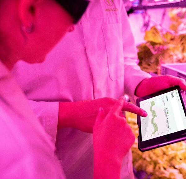 Maximize Your Growth 8664636743 Digital Tools